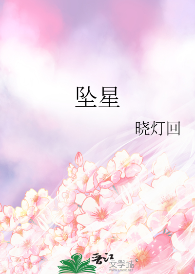坠星小说