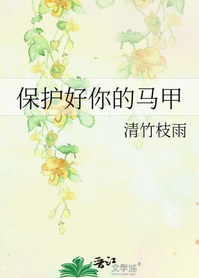 保护小马甲