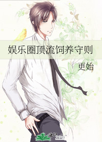 娱乐圈顶流路