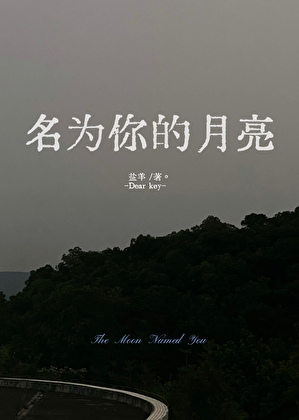 名为你的诗中文歌词