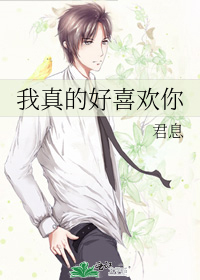 我真的好喜欢你歌曲