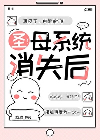 主角圣母婊