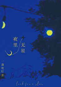 夜里无星晋江