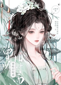 曾听旧时雨免费阅读