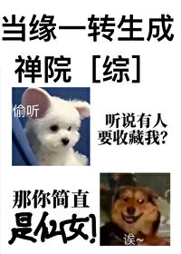 当缘一转生成禅院免费阅读