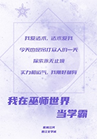 我在巫师世界当学霸100章