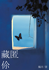藏匿你小说免费阅读