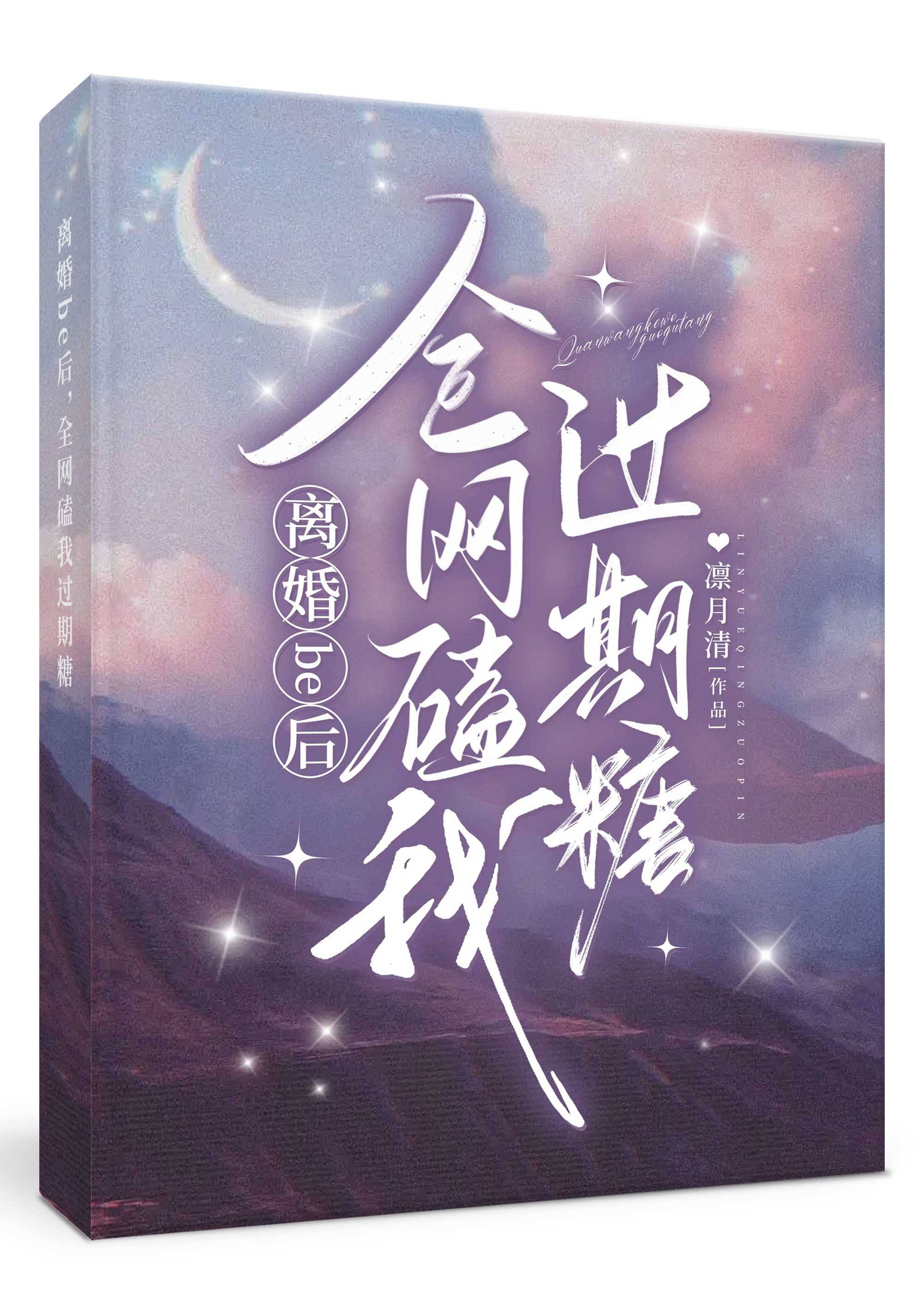 离婚过后小说