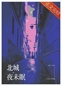 北城夜未眠林眠小说全文阅读免费