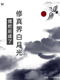 摆烂后成了修真界白月光小说