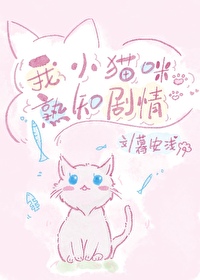 我的小猫喵喵