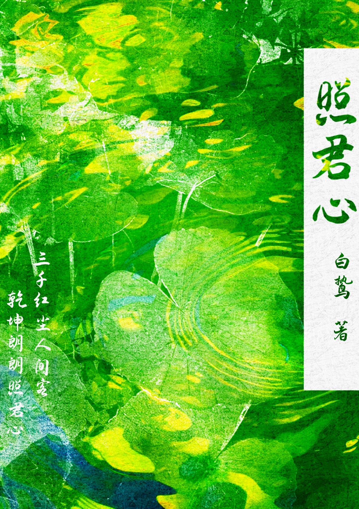 不见明月照君心