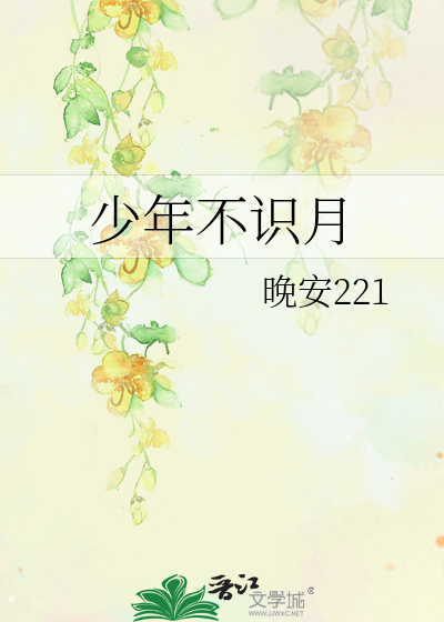 少年不识月的下一句是什么