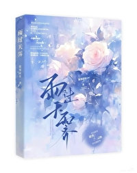 雨过天霁的意思