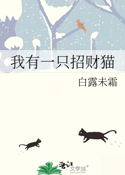 一只招财猫改变一生