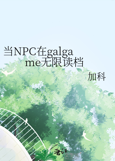 当npc来做游戏txt