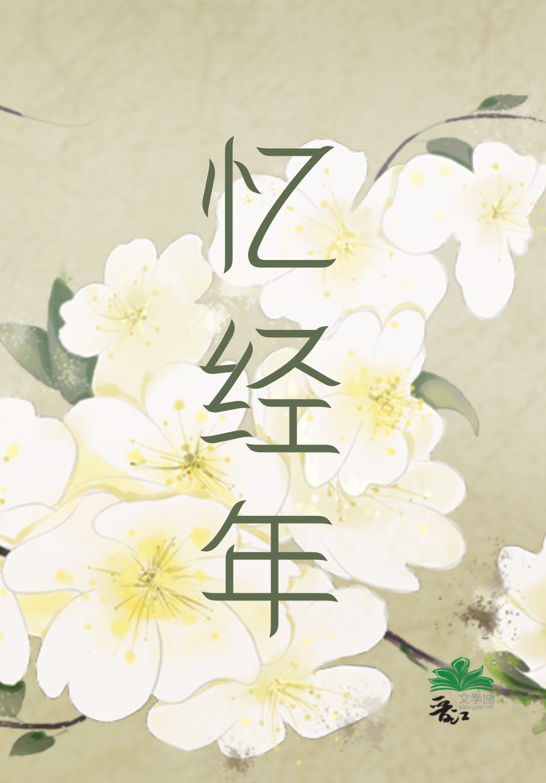忆经年表达什么意思