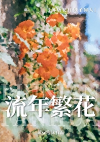 花样男子流星花园对比