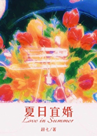 夏日宜婚小说免费阅读