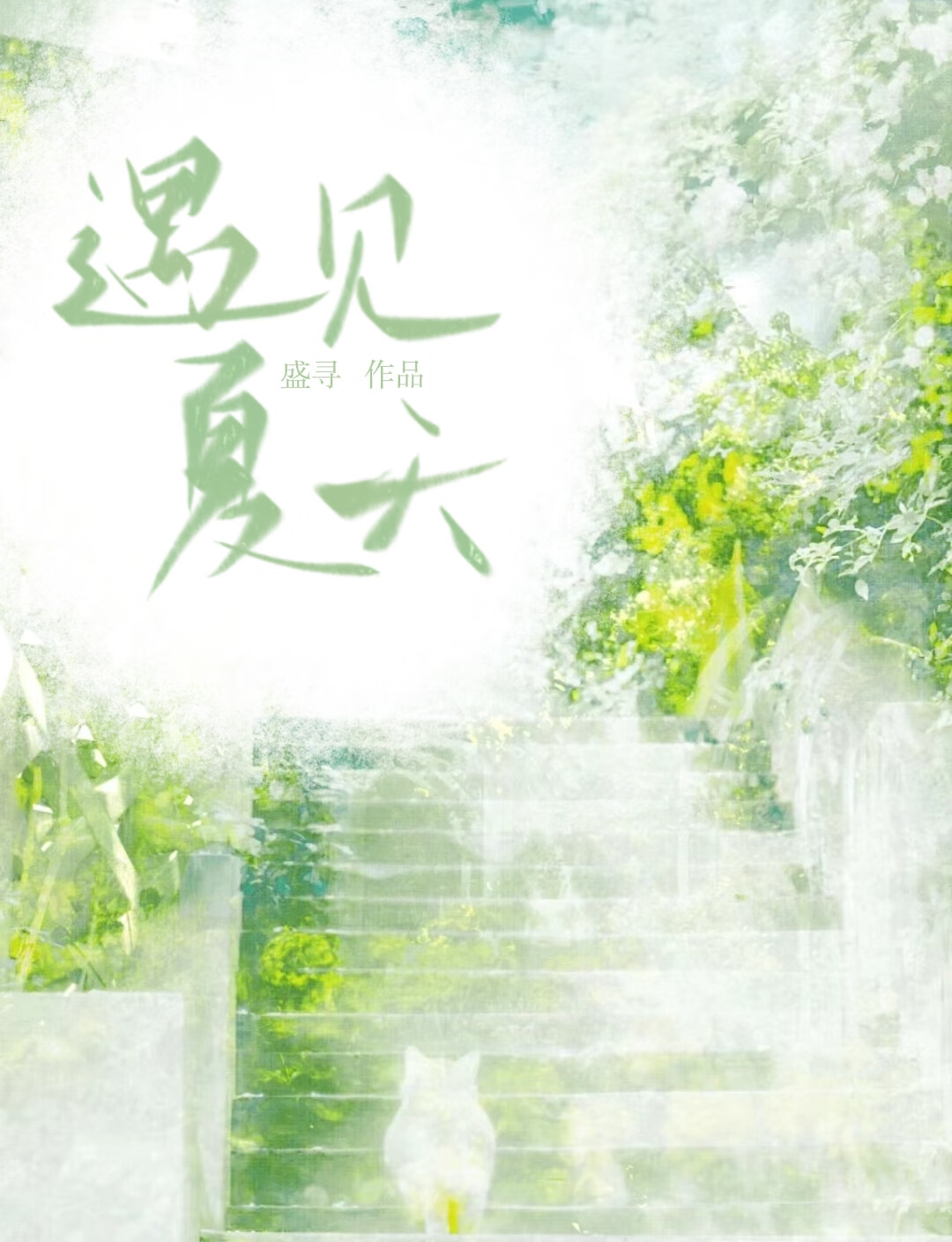 遇见夏天作文800字记叙文