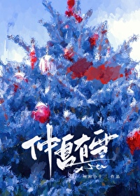 仲夏之雪的全部小说