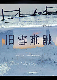 旧雪阅读理解