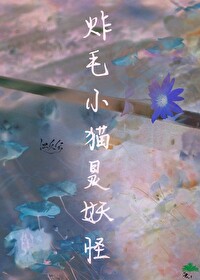 炸毛猫猫