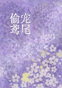 偷宠鸢尾小说