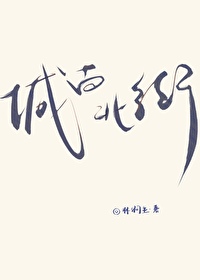 城南北街小说