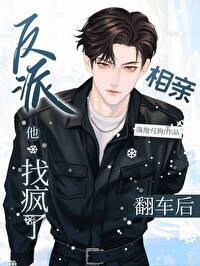 反派他找疯了小说