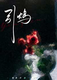引鸩韩娆赵继川小说
