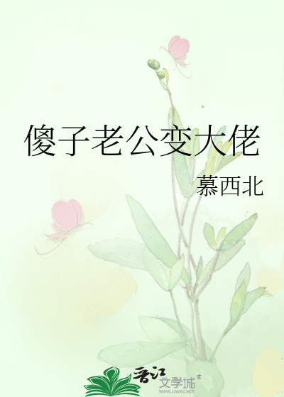 傻子老公txt