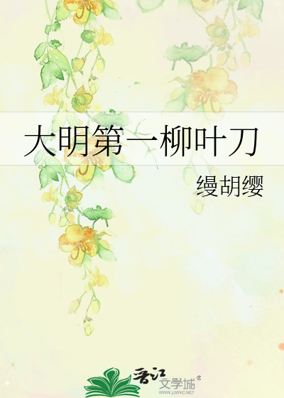 大明第一帅小说