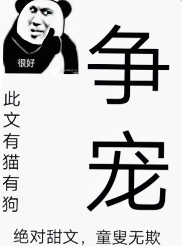 争宠电视剧