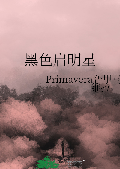 启明星学校
