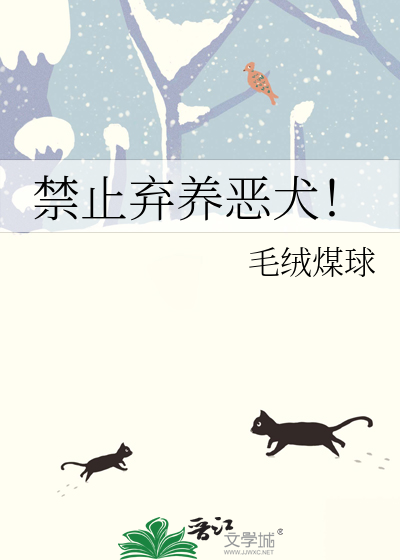 禁止养犬区是指哪些地方