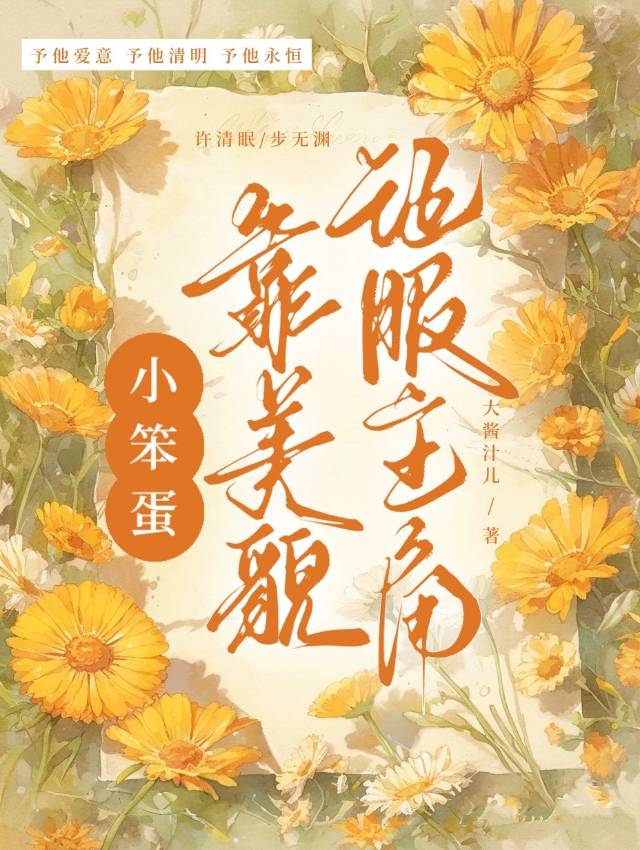 小笨蛋小说讲的是什么
